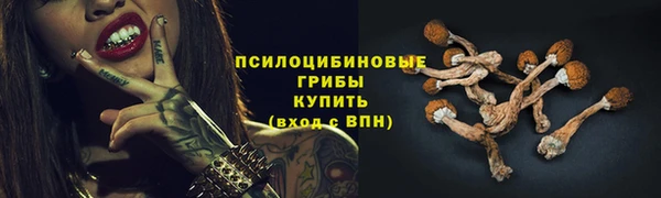 2c-b Кулебаки