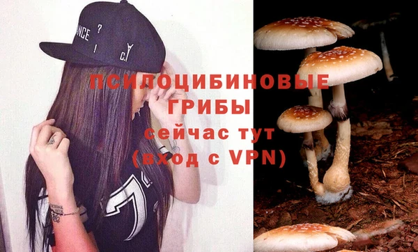 2c-b Кулебаки