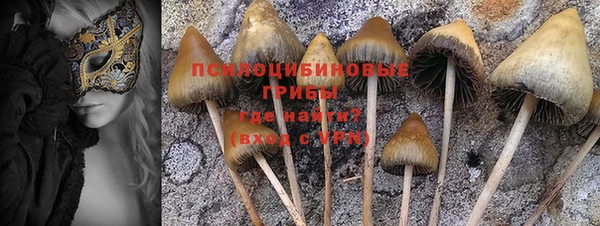 меф Куйбышев