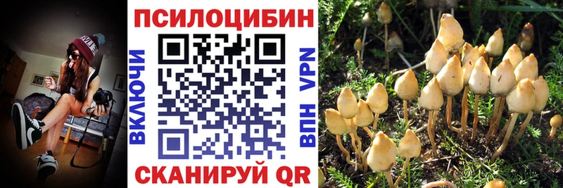 Купить  Будённовск  Псилоцибиновые грибы прущие грибы 
