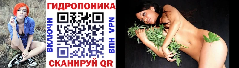 Купить  Будённовск  Бошки марихуана семена 